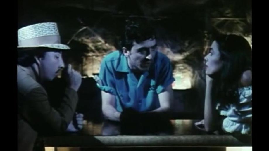 cafeflesh 1982