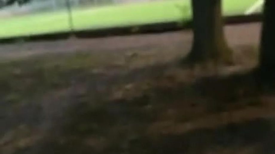 Fucked my boyfriend on our way home from the bar