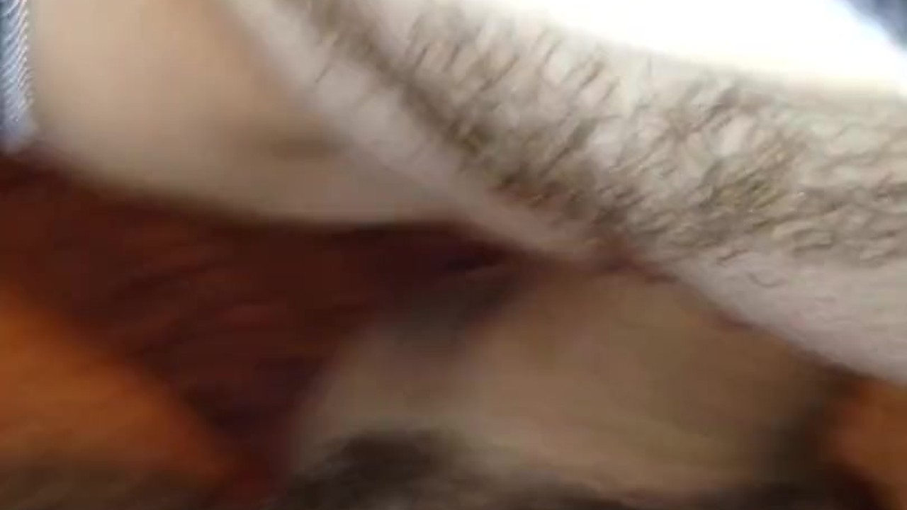 She Rides my fat cock so Well